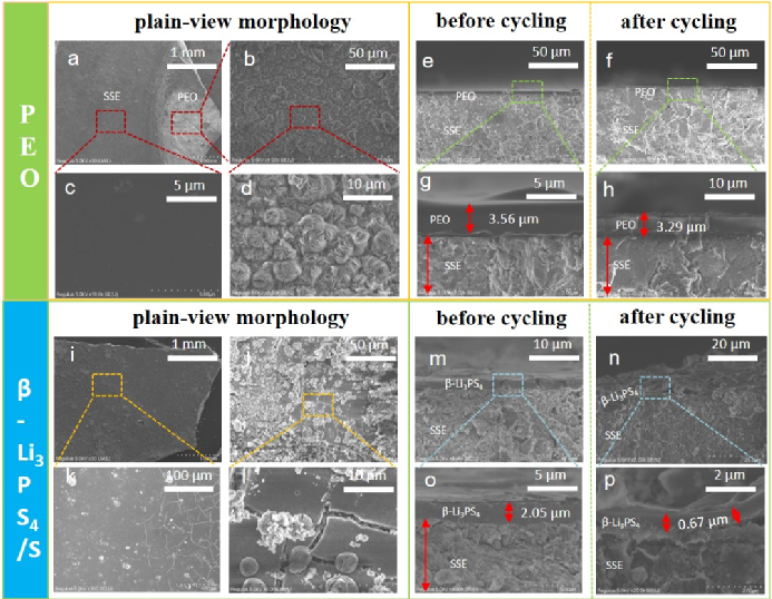 1687790112398095898.png 6.png